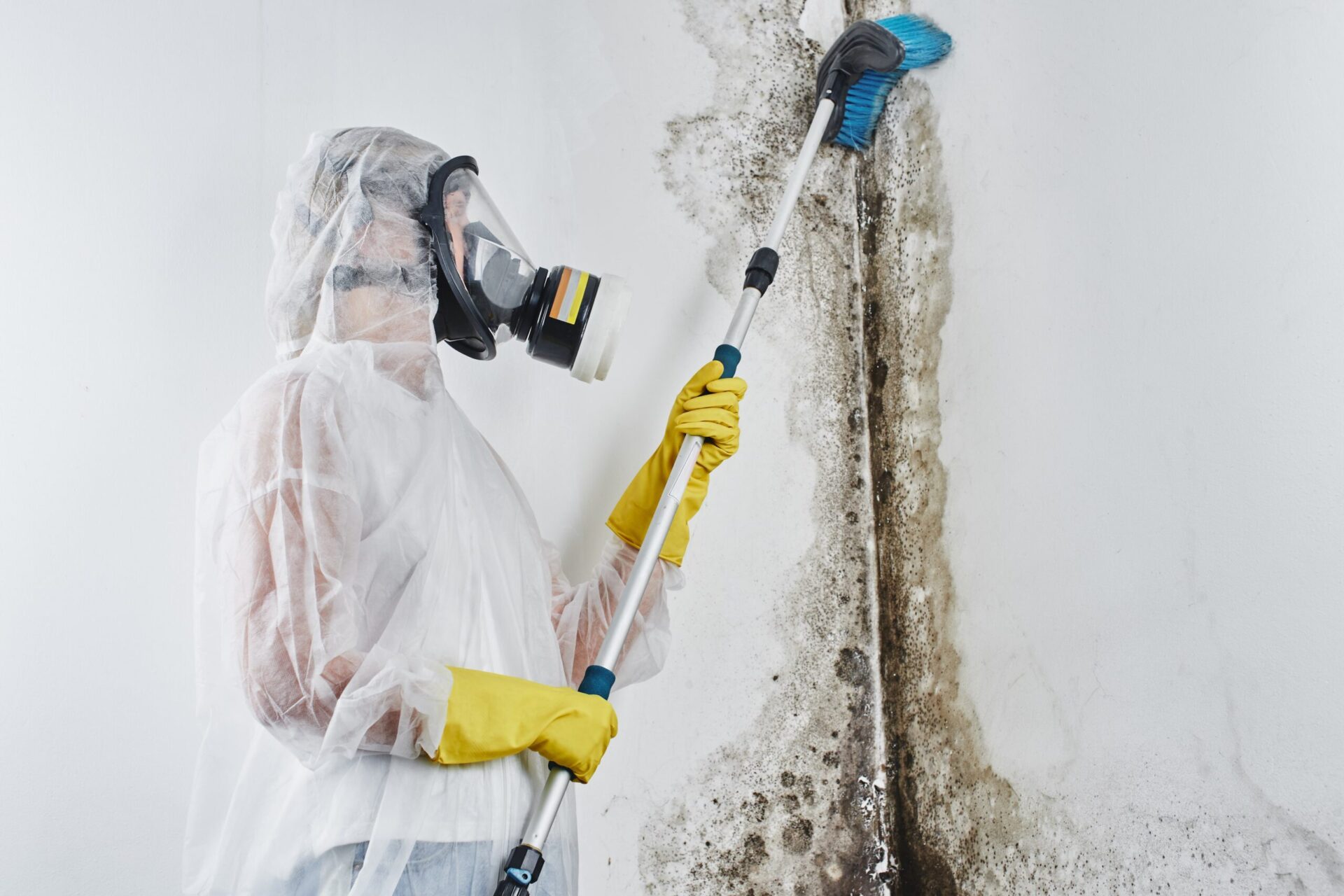 Surface mould inspection 